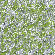 Colorful paisley seamless pattern N7