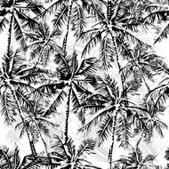tropical pattern N26