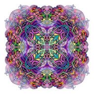 DoodleSnake-8 N2