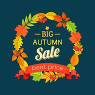 Autumn Background N50