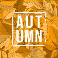 Autumn Background N51