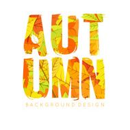 Autumn Background N52