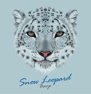 Vector Portrait of a Snow Leopard N2