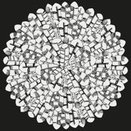 Pattern for coloring book Feathers