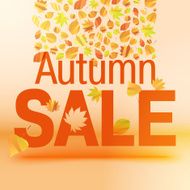 Autumn Sale N22