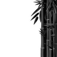 Stems and Bamboo Leaves Background Vector Illustration