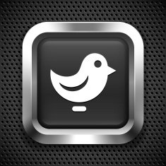 Bird Chat on Black Square Button