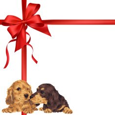 dog and ribbon illustration N84