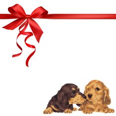 dog and ribbon illustration N85