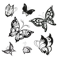 Vector Butterflies N5