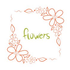 floral frame N95