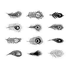 Peacock feather set for your design