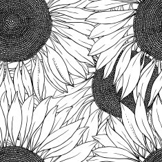 seamless pattern of vector sunflowers