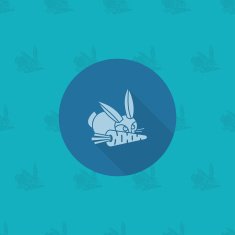 Rabbit and a Carrot