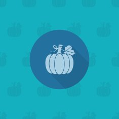 Pumpkin N22