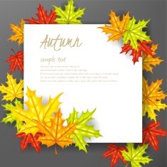 Autumn leafs background with paper sign