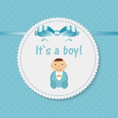 Vector Illustration for Newborn Boy N2