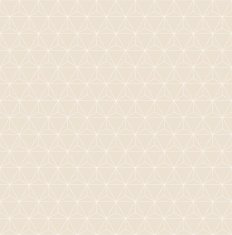 grid pattern of triangles N2