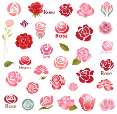 Roses design elements