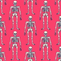 Sketch skeleton