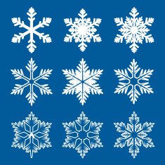 Set of white snowflakes N3
