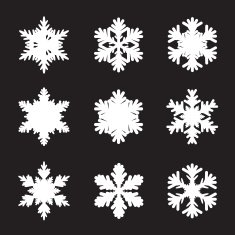 Set of white snowflakes N4