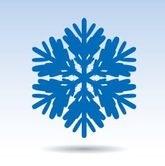 Vector snowflake icon