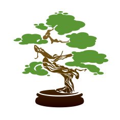 Color Bonsai Tree and Leafs