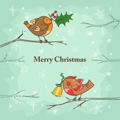Christmas card with birds N3