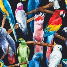 Watercolor parrot pattern N2