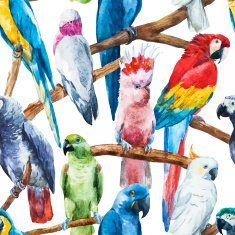 Watercolor parrot pattern N3