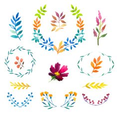 Vector Illustration Hand-painted watercolor design elements N3