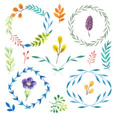 Vector Illustration Hand-painted watercolor design elements N8