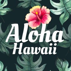 Vector illustration with tropical leaves N10