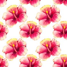 Vector illustration with red chinese hibiscus N2