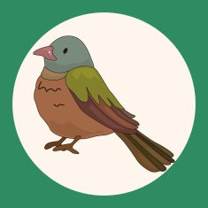 bird cartoon theme elements vector eps