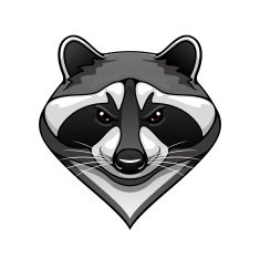 Cartoon wild raccoon animal mascot