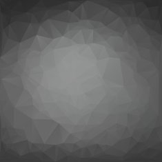 Gray White Polygonal Mosaic Background N2