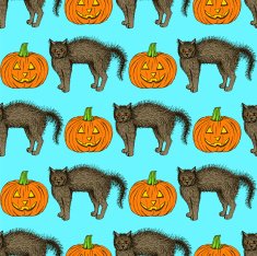 Sketch cat and pumpkin