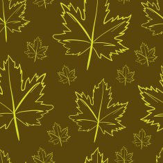 Contours of maple leaves