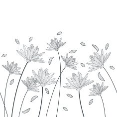 Vector floral seamless horizontal pattern Background with lotus lily flowers