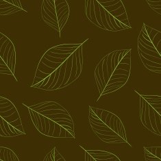 Contours of simple leaves