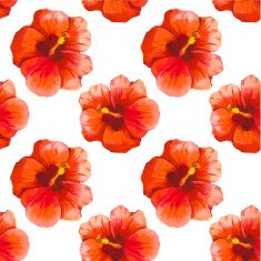 Vector illustration with red chinese hibiscus N5