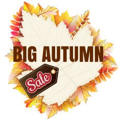 Fallen leaf Big Sale EPS 10 N6