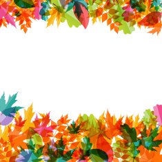 Shiny Autumn Natural Leaves Background Vector Illustration N3