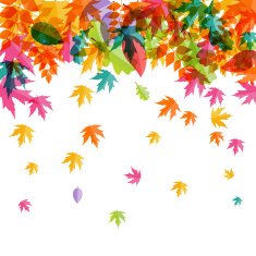 Shiny Autumn Natural Leaves Background Vector Illustration N10