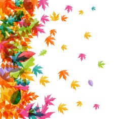 Shiny Autumn Natural Leaves Background Vector Illustration N11