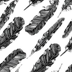 Hand drawn dotted feathers on white background
