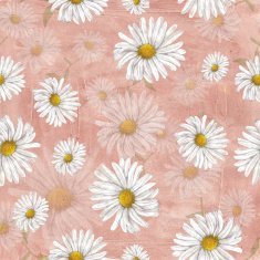 Chamomile pattern with grange background