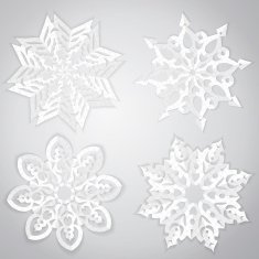 Christmas set of snowflakes N2